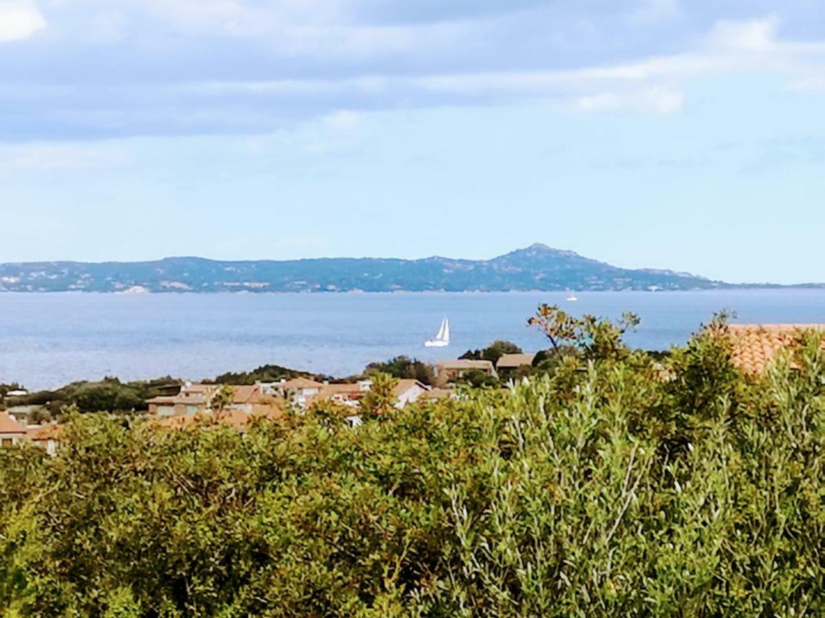 Geco Di Giada Art Suites - Adult Only Porto Rotondo Exteriör bild